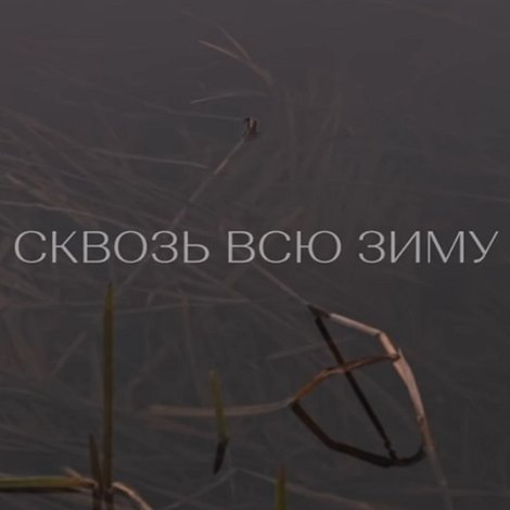 Сквозь всю зиму
