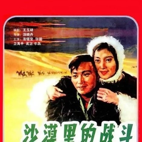 沙漠里的战斗