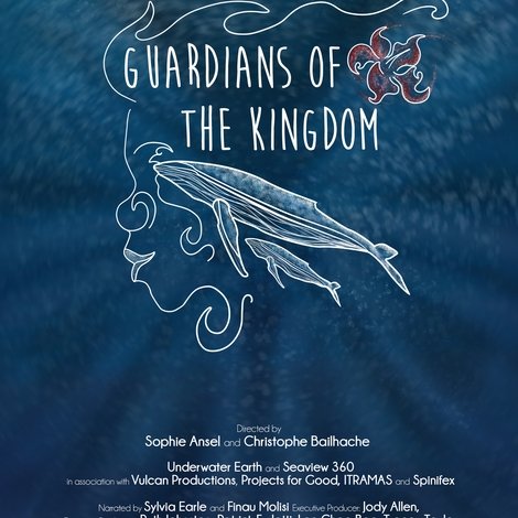 Guardians of the Kingdom