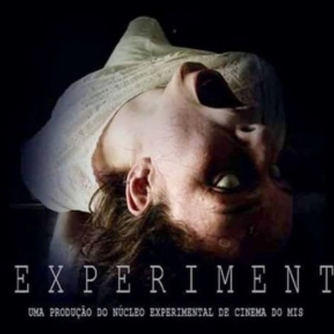 O Experimento