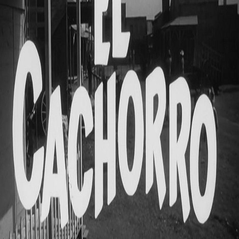 El cachorro