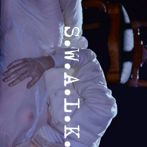 S.W.A.L.K. II