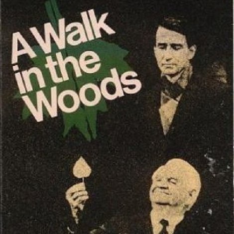 A Walk in the Woods