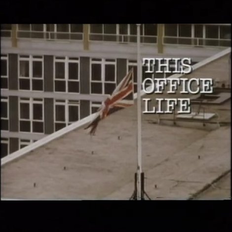 This Office Life