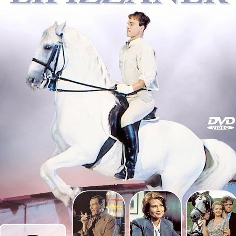 Mein Freund, der Lipizzaner