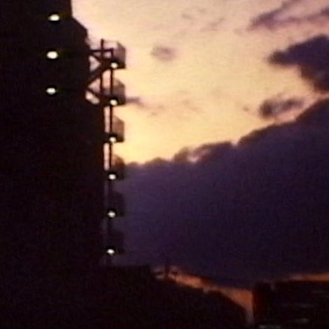 猫夜