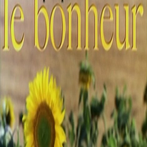 propos sur 'le bonheur'