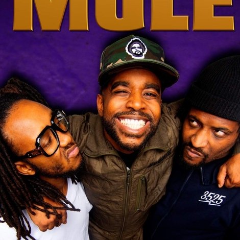 The Mule