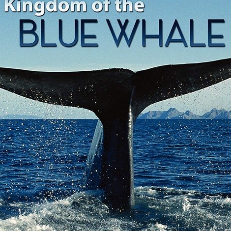Kingdom of the Blue Whale