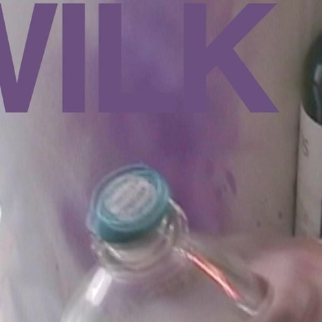 Wilk