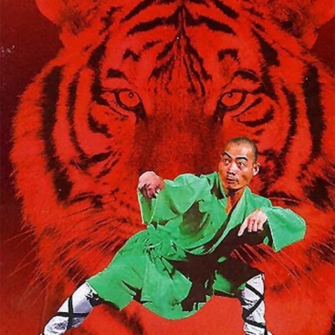 小老虎