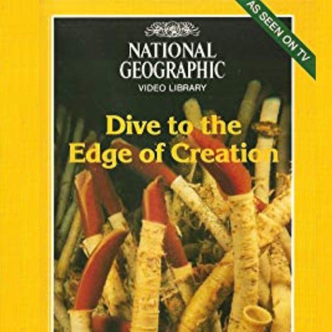 Dive to the Edge of Creation