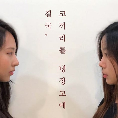 결국, 코끼리를 냉장고에 넣었다
