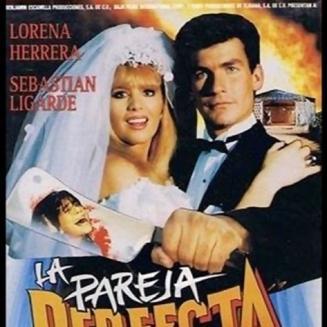 La pareja perfecta