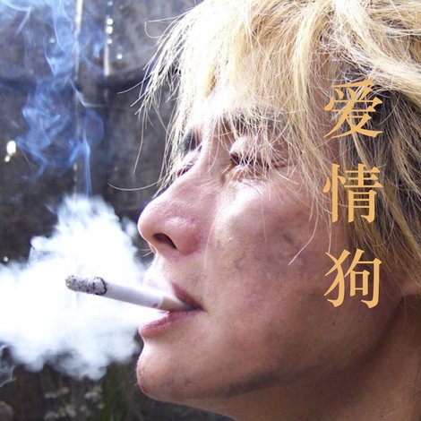 爱情狗