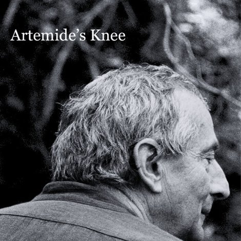 Le Genou d'Artémide