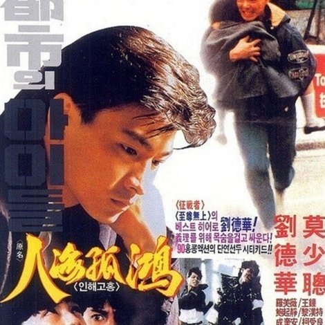 人海孤鴻