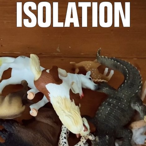 Isolation