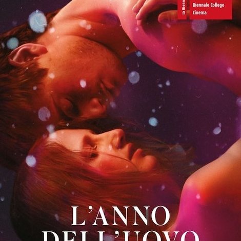 L'anno dell'uovo