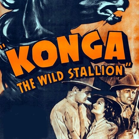 Konga, the Wild Stallion