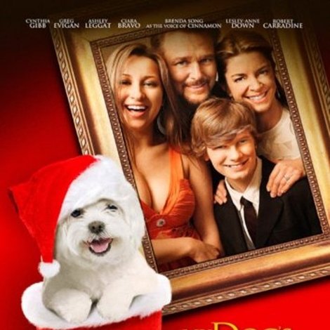 My Dog's Christmas Miracle