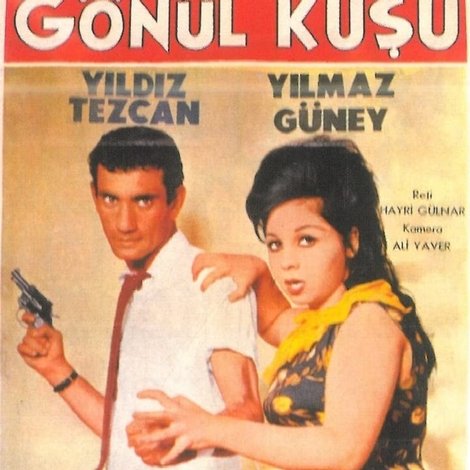 Gönül Kuşu