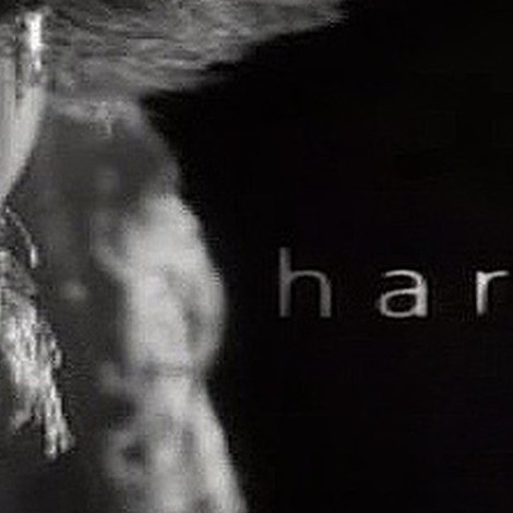 Harvey