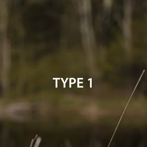 Type 1