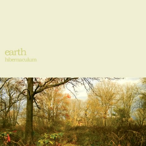 Earth: Within the Drone