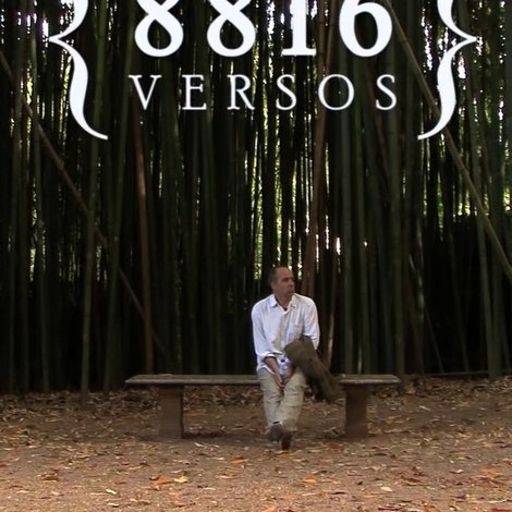 8816 Versos