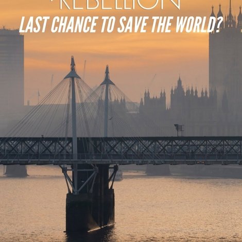 Extinction Rebellion: Last Chance to Save the World?