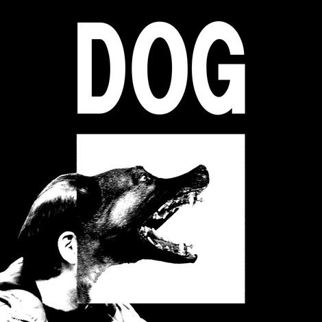 Chien