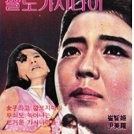 팔도가시나이