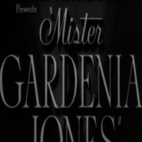 Mr. Gardenia Jones