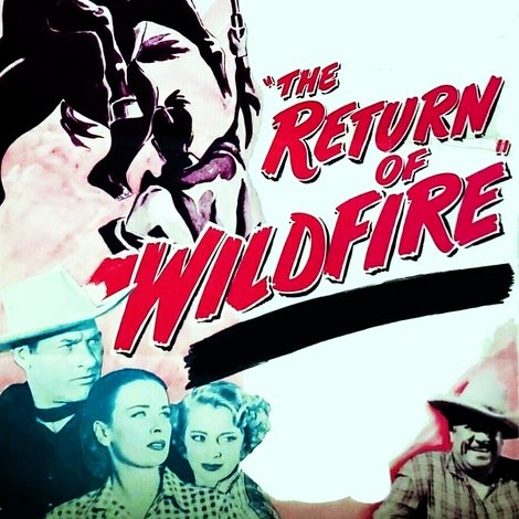 The Return of Wildfire