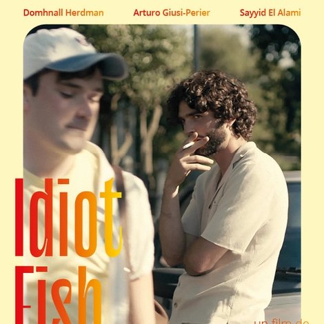 Idiot Fish