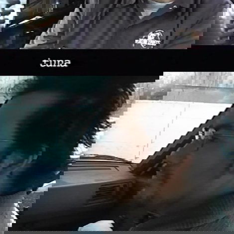 Tuna