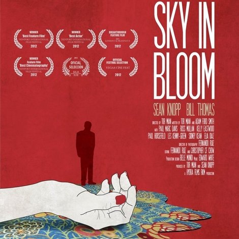 The Sky in Bloom
