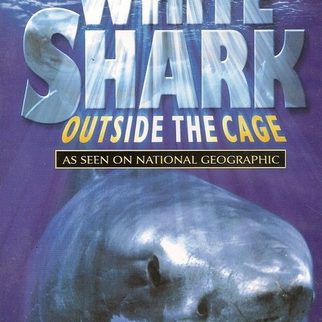 White Shark - Outside The Cage