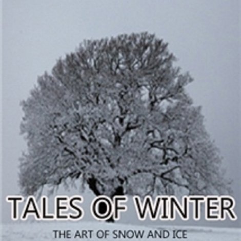 Tales of Winter: The Art of Snow and Ice