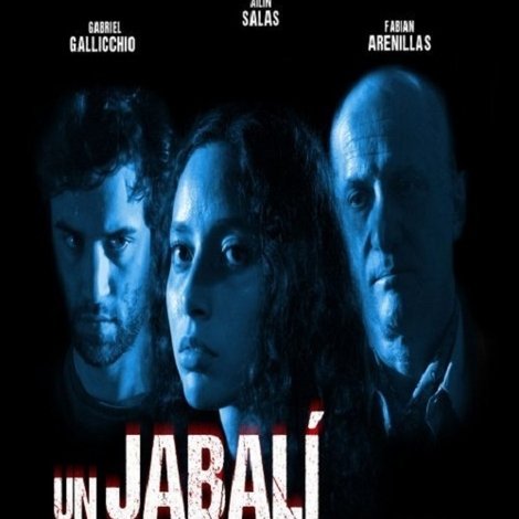 Un jabalí al acecho