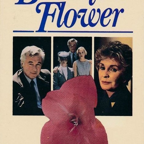 December Flower