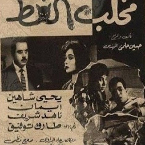 مخلب القط