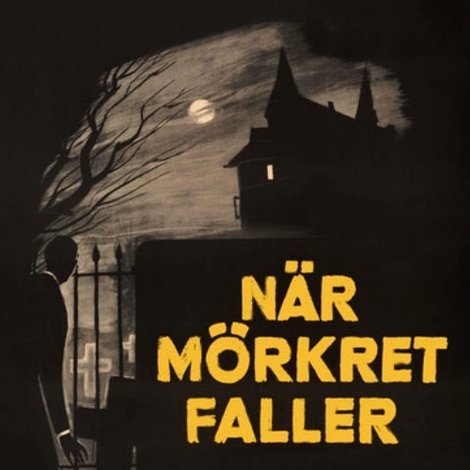 När mörkret faller