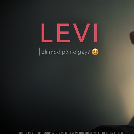 Levi