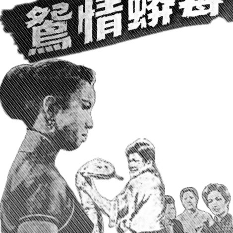 毒蟒情鴛