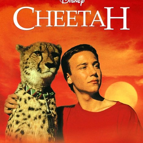 Cheetah