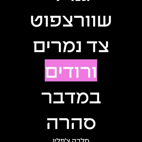 גנרל שוורצפוט צד נמרים ורודים במדבר סהרה