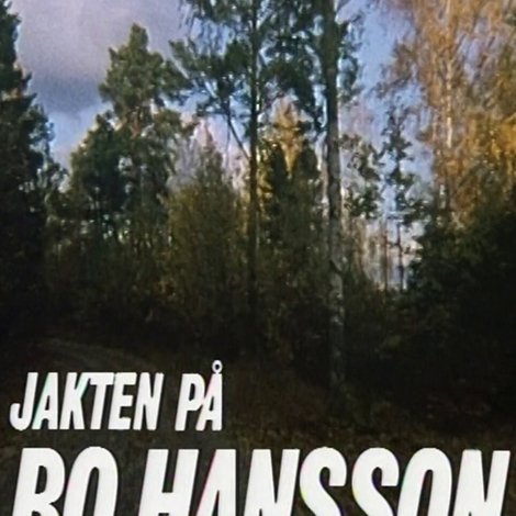 Jakten på Bo Hansson