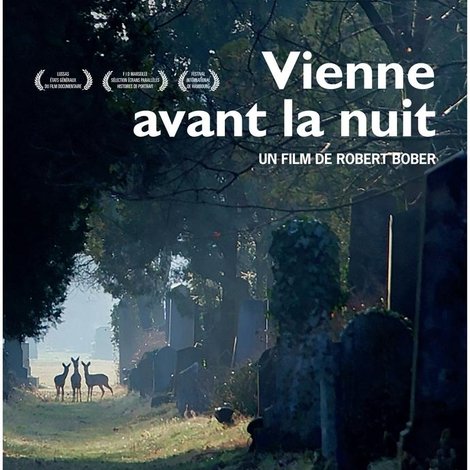Vienne avant la nuit